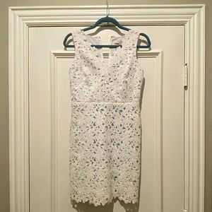 Ann Taylor Loft White Floral Dress